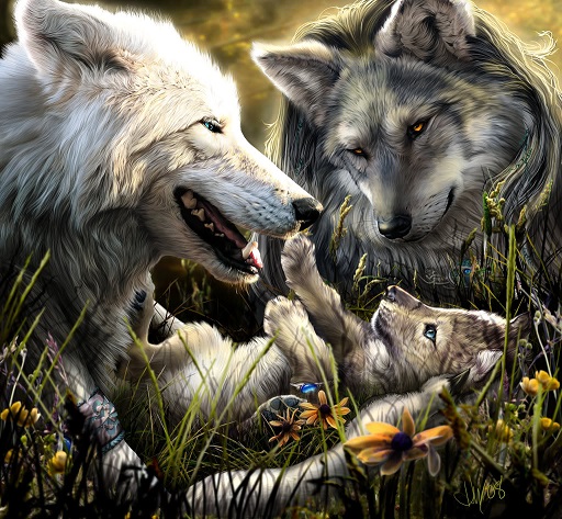 De wolven roedel